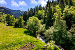 Aussicht direkt vom Appartement