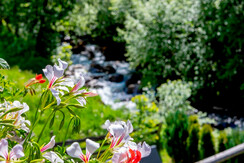 Klausbauer_Ferienwohnung17