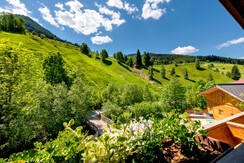 Blick ins Grüne direkt vom Appartement