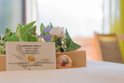 Herzlich willkommen im Landhaus Tripolt