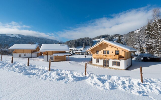 3 Rosen im Schnee