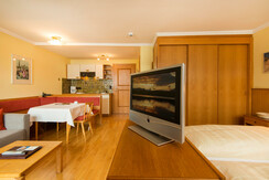 Appartement-Monuth-Bad-Hofgastein-Typ-D-Studio