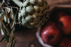 SonnhofAlpendorf-josalzburg-salzburgerland-oesterr