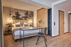 DZ Sternenhimmel deluxe