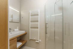 Typ 3A for Seven_3.12_Badezimmer_Dusche