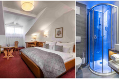 Wohnkomfortzimmer  Alpenblick