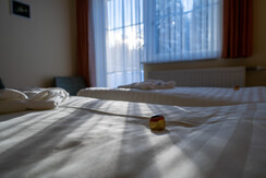 Tischlberger_Zimmer2022_WEB-0461