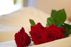 Augenweide | 2 Raum | teilw. Balkon | 40m²