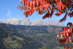 Panoramablick 2(3) Bettzimmer