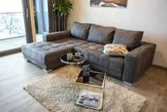 Sofa (Schlafsofa) 101