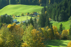 Aussicht von denn Doppelzimmern im Herbst
