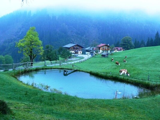 Hofbild vom Teich aus