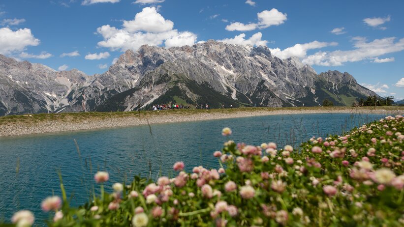 Flowers in front, people at mountain lake near Steinbockalm, Hochkönig massif in the background under blue sky. | © Roland Haschka