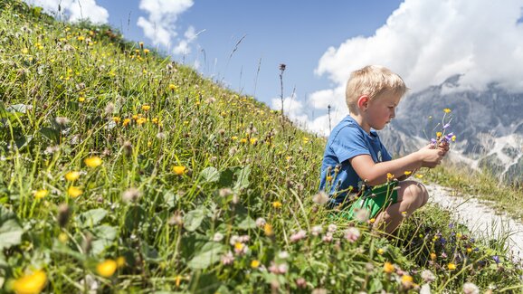 Little boy sits in an alpine meadow picking colorful flowers with mountain scenery and a blue summer sky in the background. | © Felsch Fotodesign