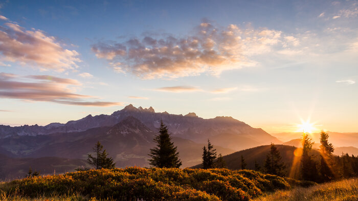 Sun rises, casting golden light over forested hills and alpine meadows with soft clouds above. | © Coen Weesjes
