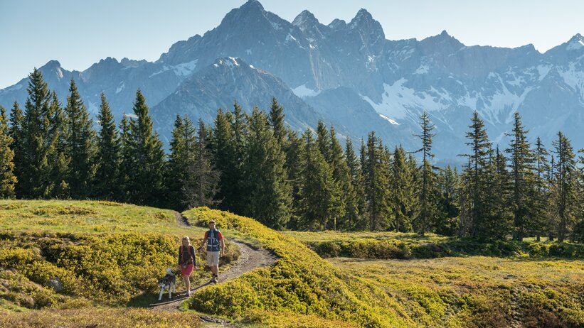 Hikers with dog on alpine trail near Filzmoos, framed by green meadows and the Dachstein massif in bright morning light. | © Salzburger Sportwelt, Lorenz Masser