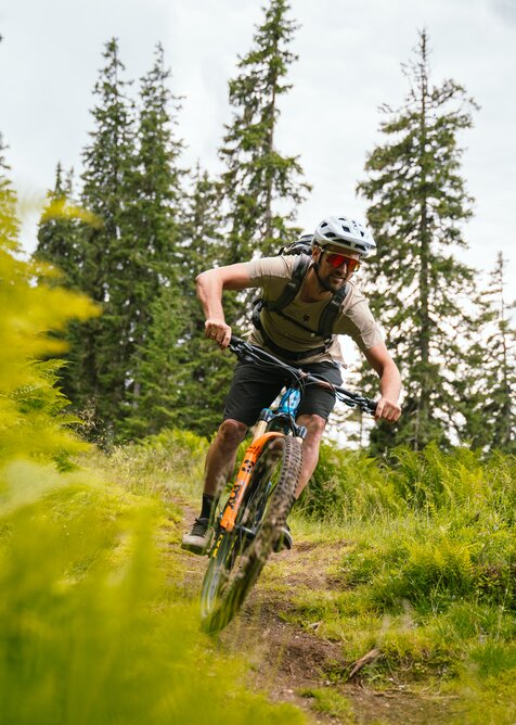 A mountain biker rides along a narrow forest trail in Dienten through green grass and tall conifer trees | © Hochkönig Bergbahnen