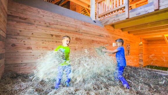 Two boys throw hay in the air and laugh while playing in a wooden indoor hay barn.