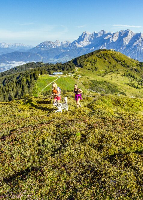 Two women hike with a dog across blooming alpine meadows on Planai, with forested valleys and Dachstein mountains in background. | © Josh Absenger