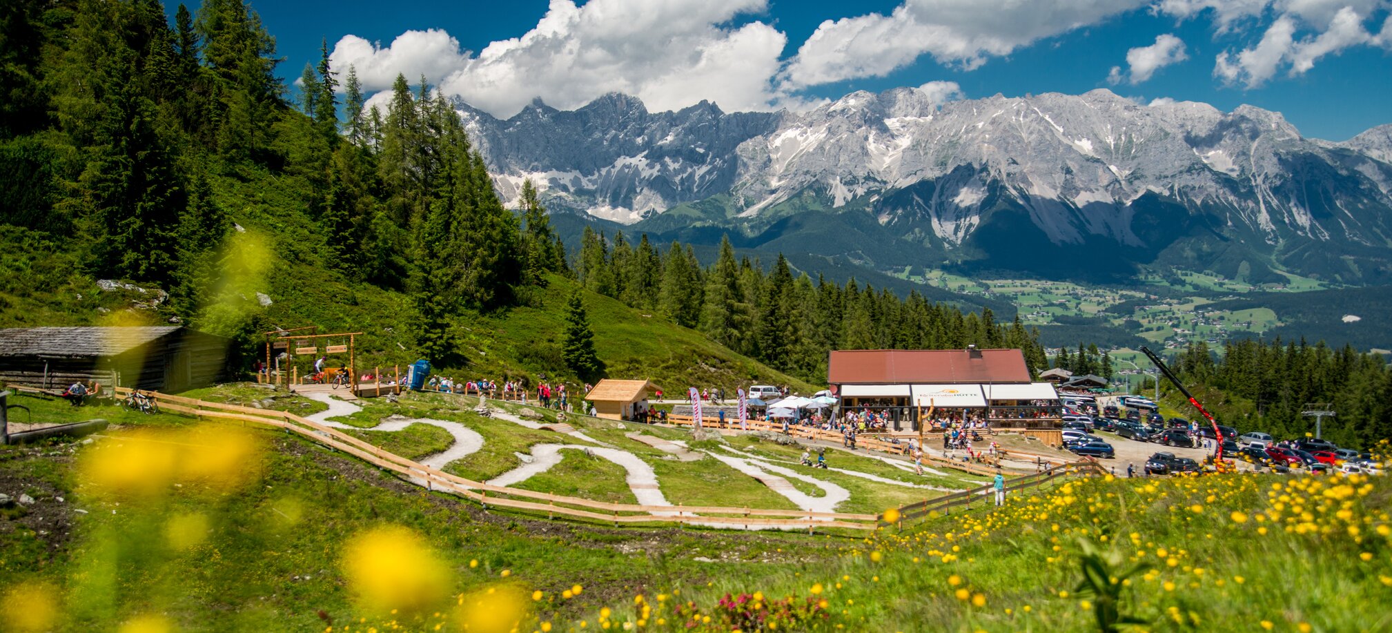 Kindergerechte Junior Bike Trails auf der Reiteralm mit Familien, blühender Wiese, Almhütte und Blick auf das Dachsteinmassiv. | © Reiteralm Bergbahnen