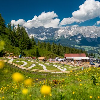 Family-friendly junior bike trails on Reiteralm with blooming meadow, alpine hut, kids riding bikes and Dachstein range behind. | © Reiteralm Bergbahnen