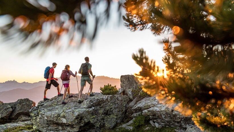 Three hikers with backpacks stand on rocks at sunrise, framed by pine branches in the foreground and mountain peaks behind. | © TVB Flachau, Ulrich Grill