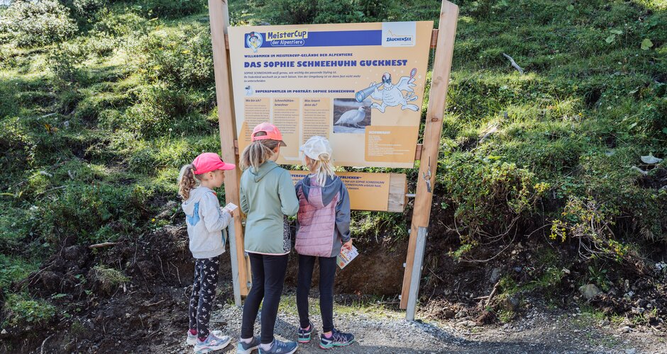 Three children with adventure passes read an info board about ptarmigans on the themed trail in Zauchensee. | © Matthias Fritzenwallner