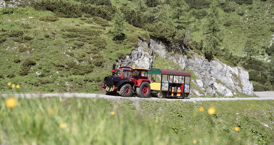 Colorful tourist train from Zauchensee drives along a mountain path with alpine meadow, rocks and pine trees. | © Matthias Fritzenwallner
