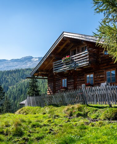 Wooden alpine hut in Grossarltal with fence green meadow and forested mountains under blue sky | © Gipfelfieber
