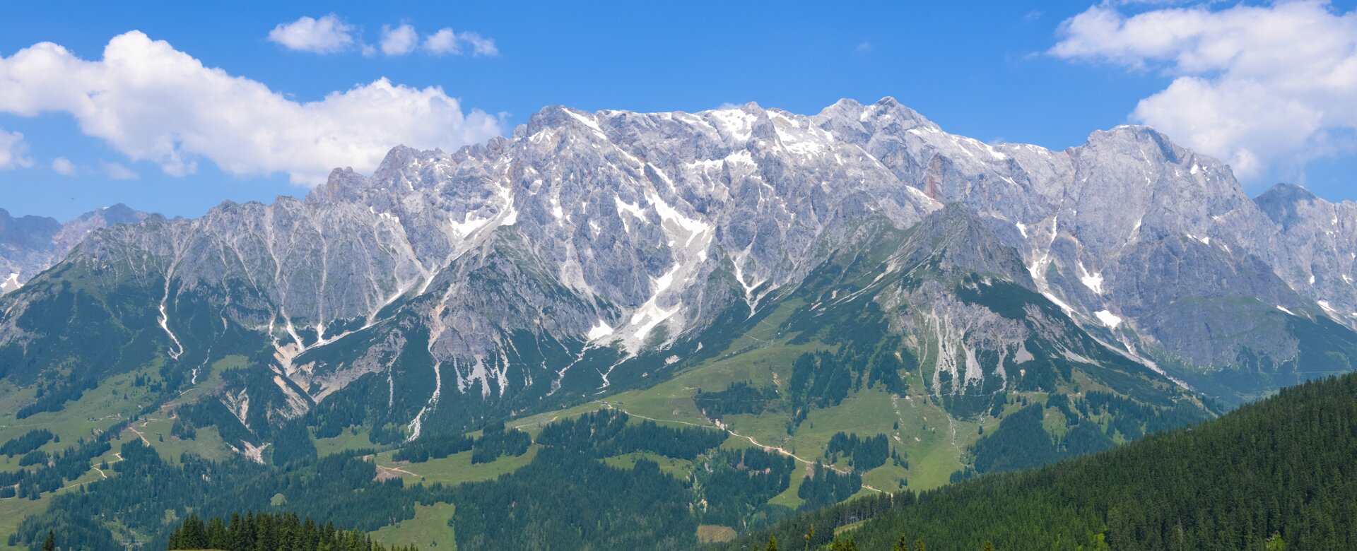 Four hikers ascend blooming alpine meadow in sunshine with panoramic view of the impressive Hochkönig mountain massif