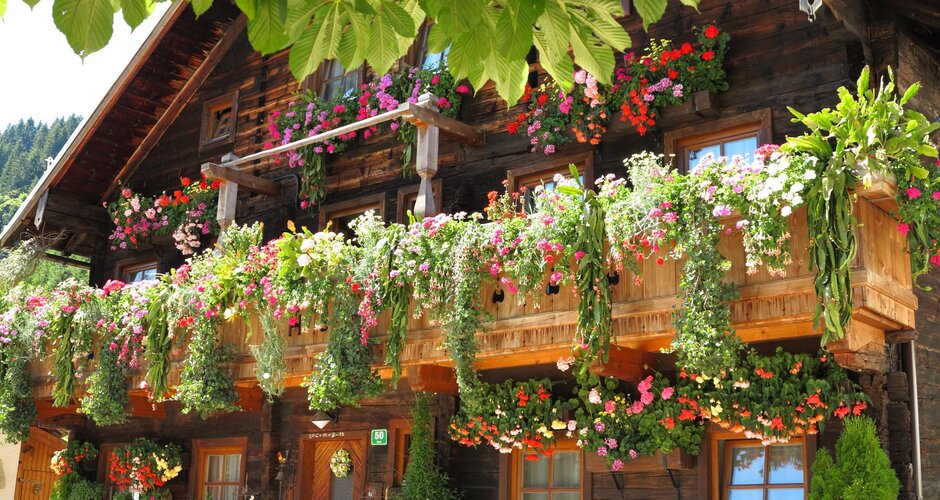 Wooden house in Dienten with lush flower-decorated balcony and green tree leaves in the foreground