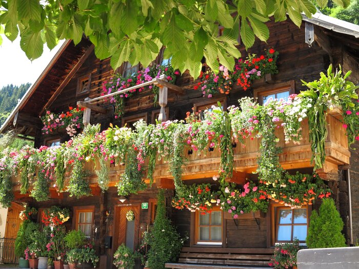 Wooden house in Dienten with lush flower-decorated balcony and green tree leaves in the foreground