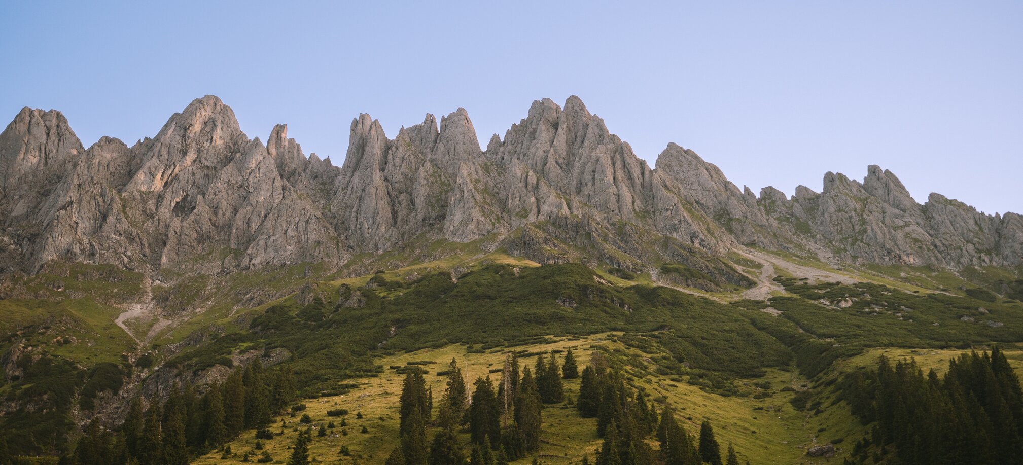 Jagged rocky massif rises above green alpine meadows and dark pine trees under a clear sky in the Hochkönig region. | © Hochkönig Tourismus GmbH