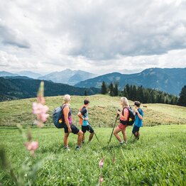 Five hikers walk across blooming alpine meadow with views of forested mountains and valleys under a partly cloudy sky | © Hochkönig Tourismus GmbH