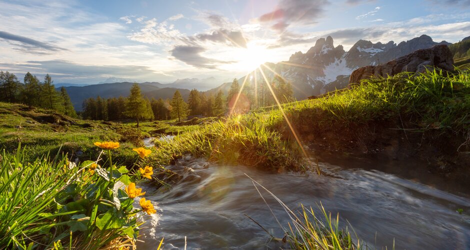 A mountain stream in Filzmoos flows through alpine meadows at sunset with the Dachstein peaks in the scenic background | © CoenWeesjes | Filzmoos Tourismus