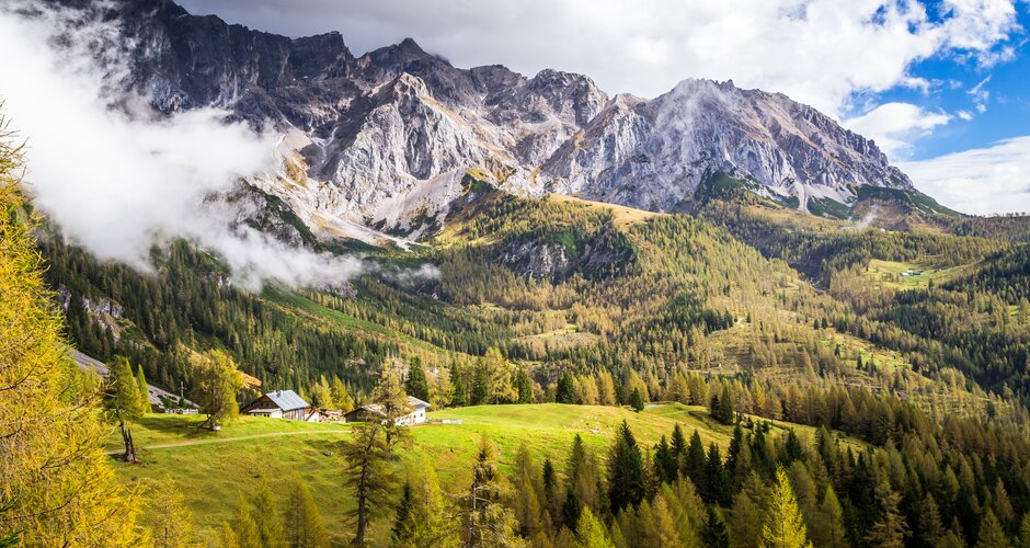 Bachlalm below steep Dachstein south face, surrounded by larch forest, green meadows and dramatic mountain cloudscape | © CoenWeesjes