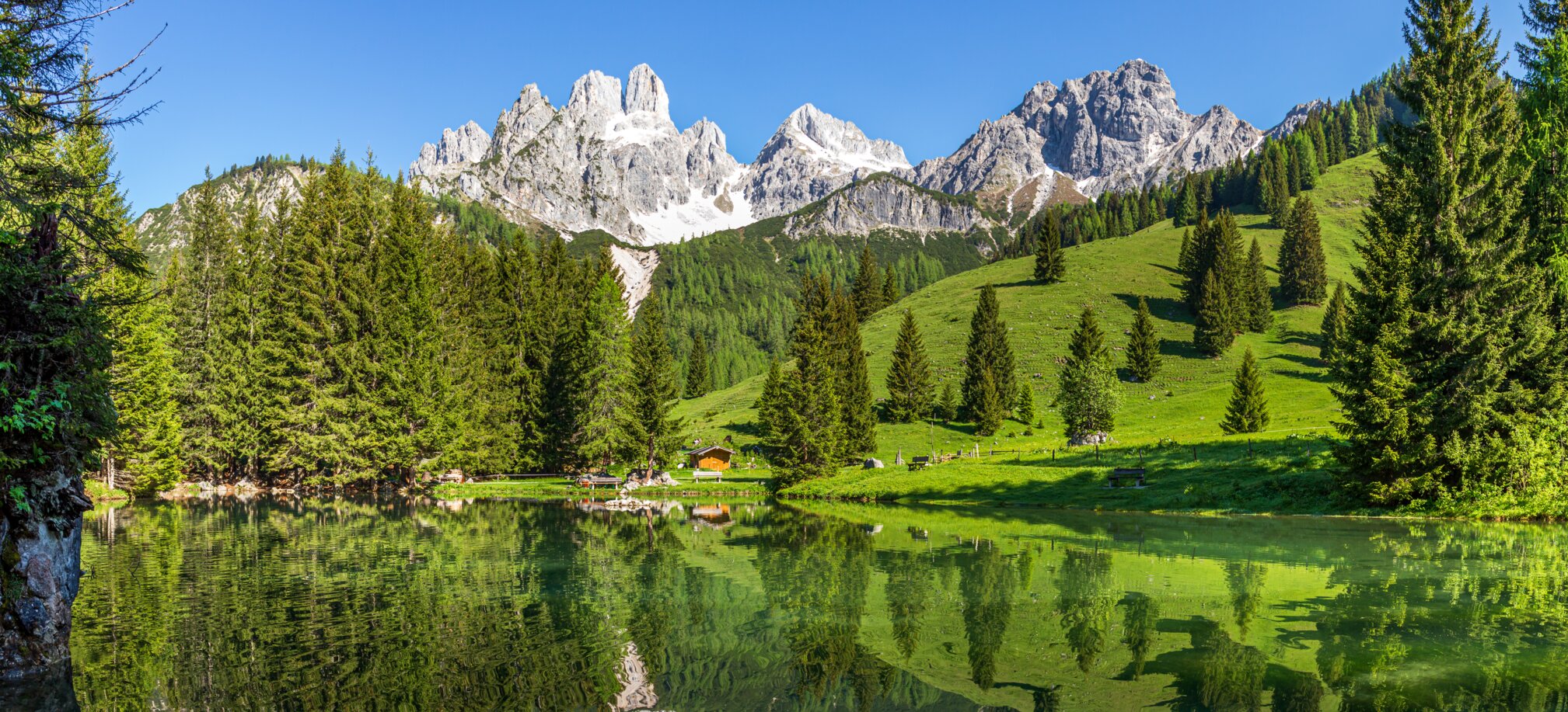 Kristallklarer Almsee mit Spiegelung der Bischofsmütze, grüner Wiese und Nadelwald im Sommer in der Region Filzmoos | © CoenWeesjes