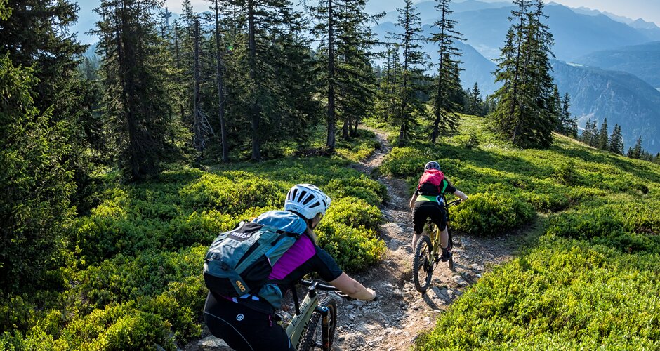 Two mountain bikers ride down a narrow forest trail with mountain views, surrounded by alpine pine trees and rocky terrain | © Dennis Stratmann | Filzmoos Tourismus