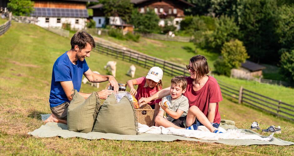 Family enjoying summer picnic on green meadow with farmhouses and grazing pasture in background | © TVB Eben