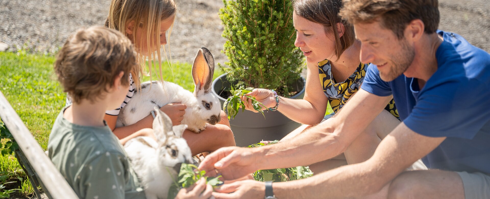 Family with two children feeds two white rabbits outdoors beside a bench in sunny summer weather. | © TVB Eben, Nina Kraxner