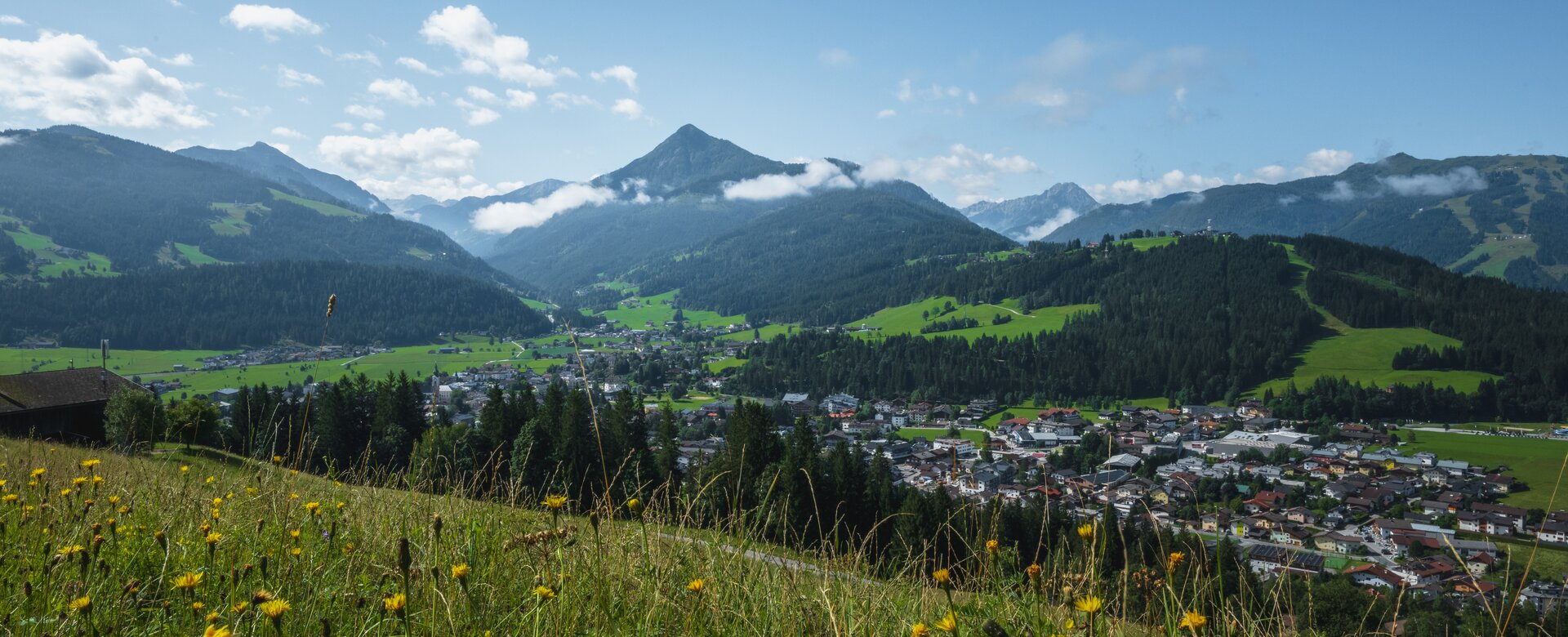 View across a flowering meadow over Altenmarkt with houses, green slopes, wooded mountains and clouds | © Christian Schartner