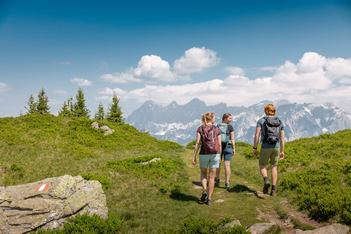 Three hikers with backpacks walk along a mountain path through green alpine meadows with snowy mountains beyond. | © Mathäus Gartner