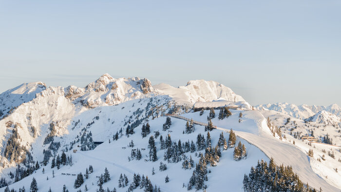 Snowy mountains and forests with groomed slopes, blue sky and afternoon light mood in Dorfgastein. | © Dorfgasteiner Bergbahnen