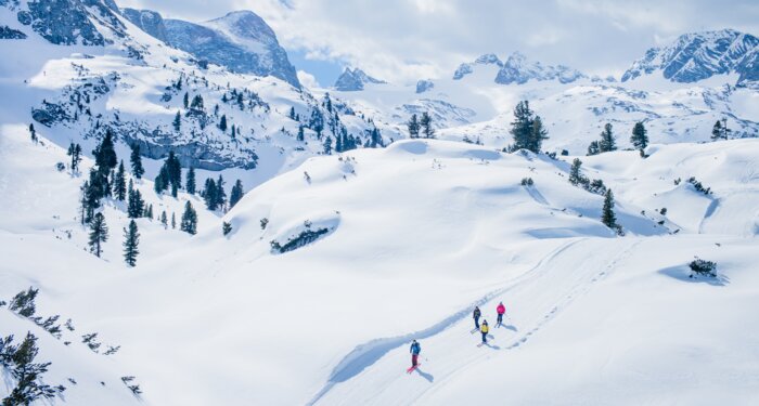 Four ski tourers in a winter mountain landscape with snow-covered slopes and firs. | © Markus Rohrbacher