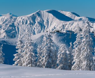 Snow-covered trees with majestic mountains and a lift station. | © Ski amadé