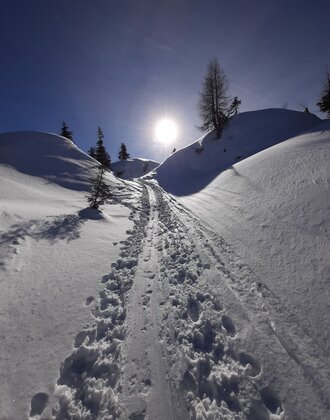 Ski touring track with footprints leads uphill through sparkling snow in the sun