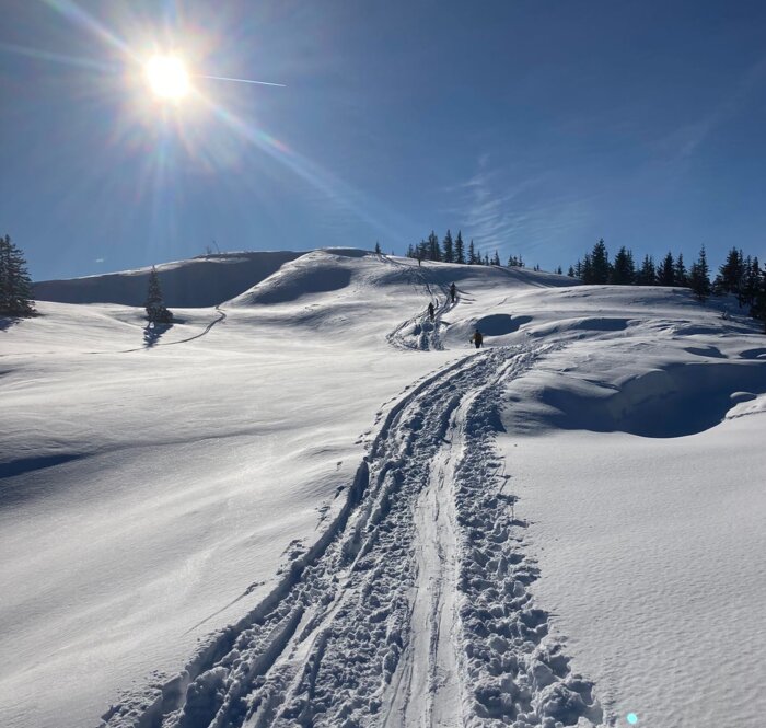 Skitourenspur führt durch glitzernden Schnee bergauf, Sonne leuchtet am blauen Himmel