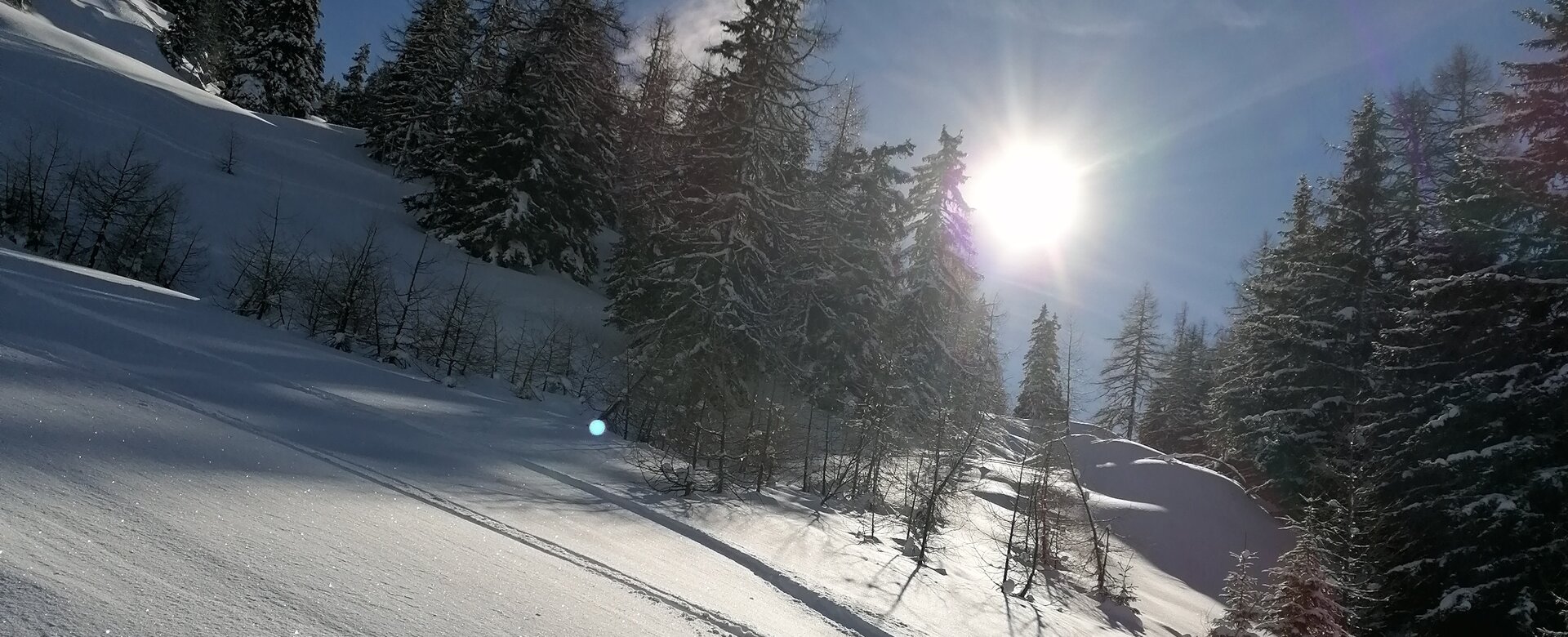 Winterlicher Hang mit Skitourenspur, Sonne über verschneiten Bäumen und blauem Himmel