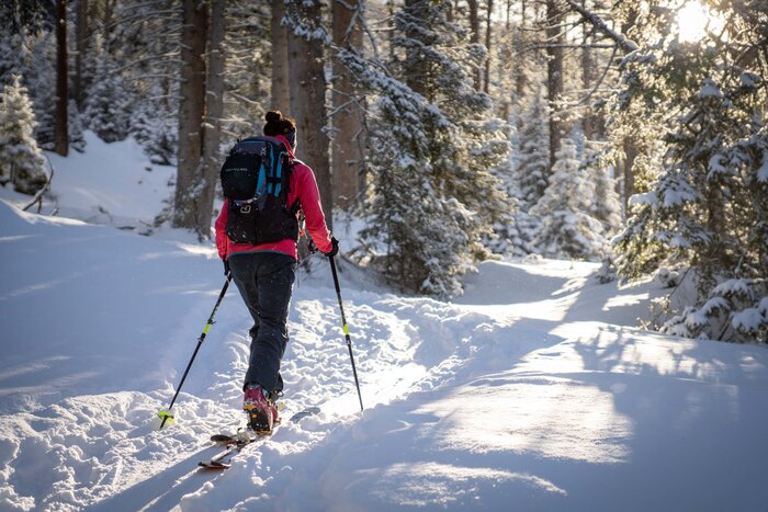 Skitourengeherin steigt bei Sonnenschein durch verschneiten Wald am Graukogel | © Gasteinertal Tourismus GmbH, Christoph Oberschneider