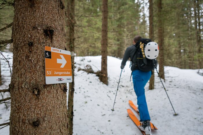 Ski tourer follows signposted S3 route through the snowy forest in Gastein | © Gasteinertal Tourismus GmbH, Christoph Oberschneider